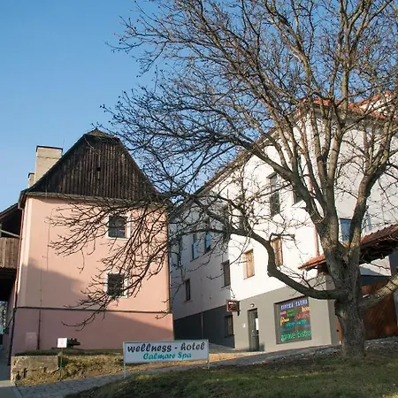 Calmare & Wellness Hotel *